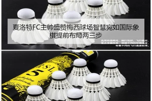 夏洛特FC主帅盛赞梅西球场智慧宛如国际象棋提前布局两三步